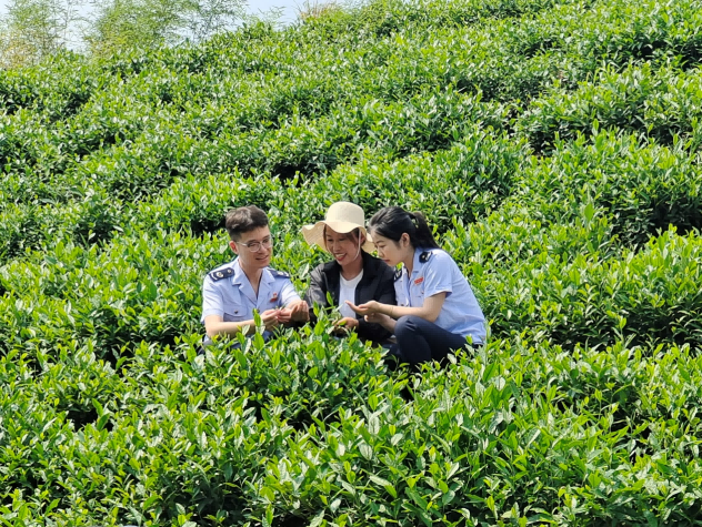 税收宣传入井楠 惠企利民促生长