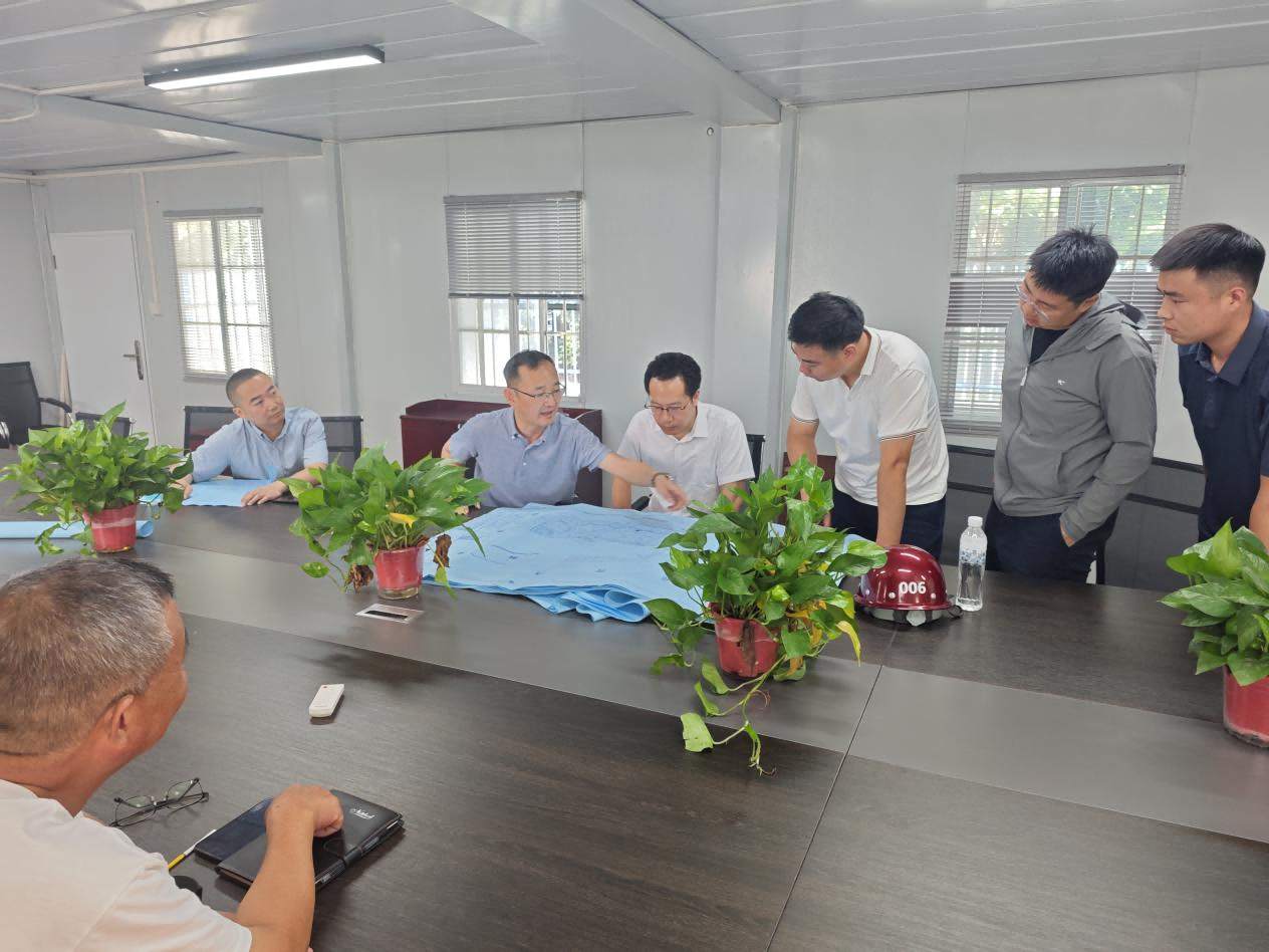 市文旅集团党委书记、董事长张雷赴大发500玺悦里项目调理主要节点进度