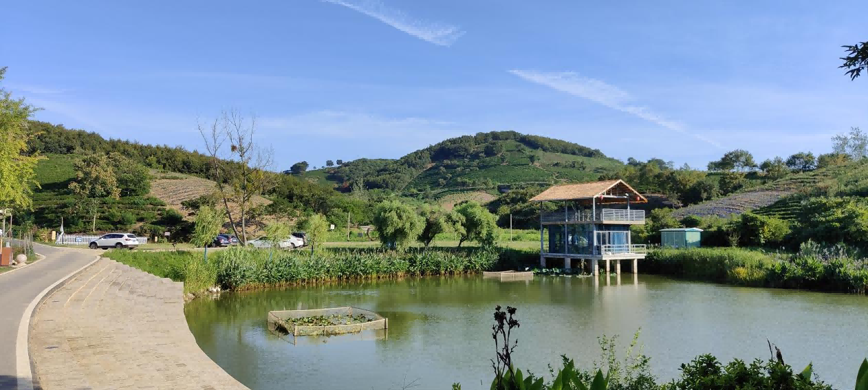 走好品质提升要害一步，，，，，夯实工业生长康健基础