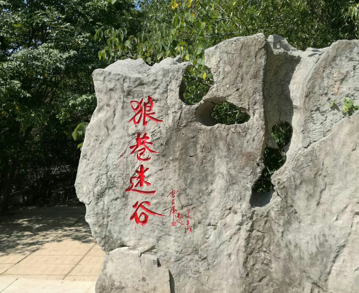 大发500-追求康健,你我一起生长