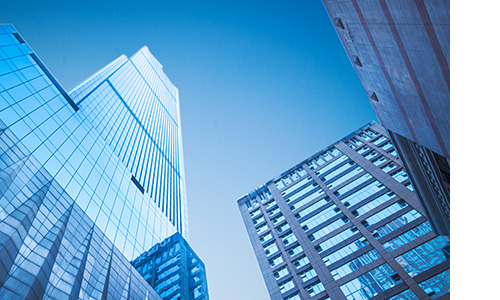 大发500-追求康健,你我一起生长