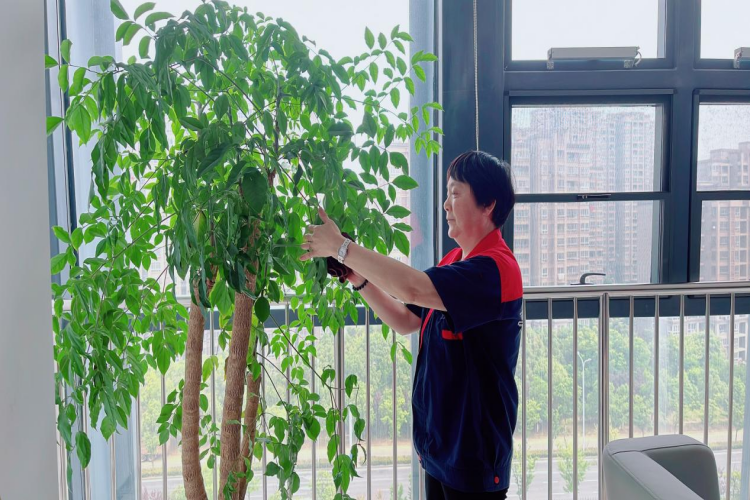 大发500-追求康健,你我一起生长