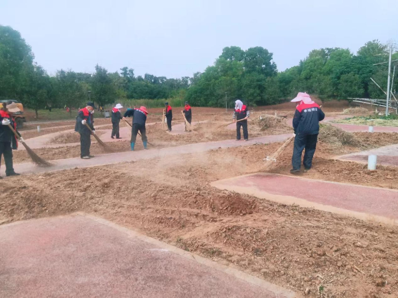 大发500-追求康健,你我一起生长