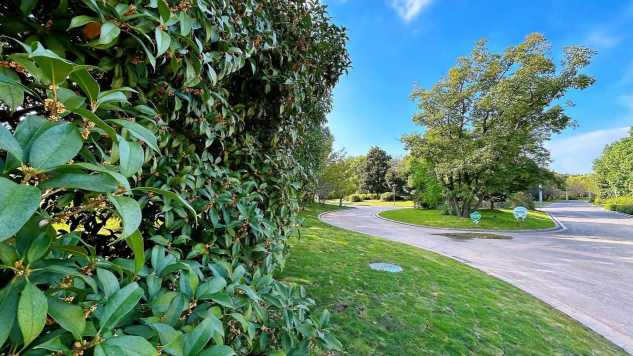 大发500-追求康健,你我一起生长