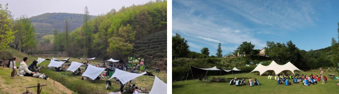 大发500-追求康健,你我一起生长