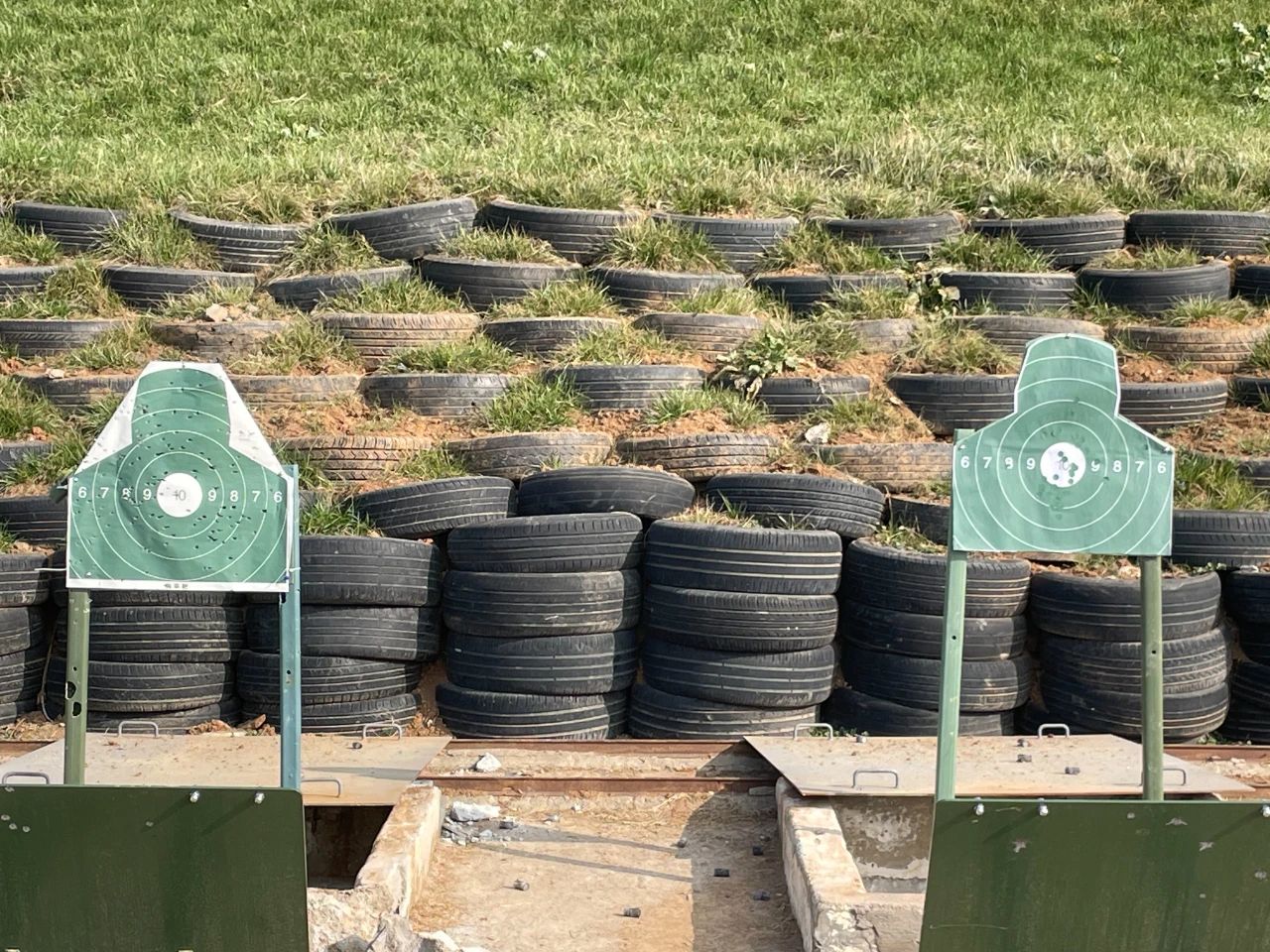 大发500-追求康健,你我一起生长