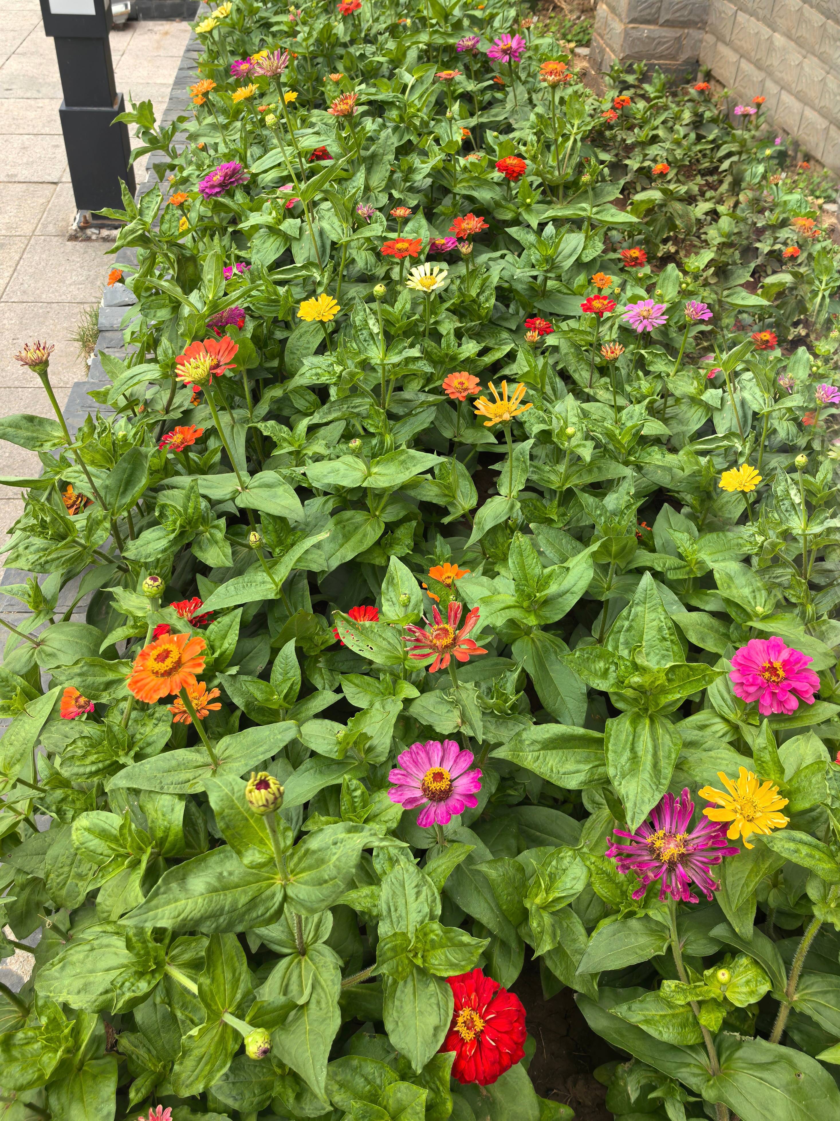 大发500-追求康健,你我一起生长