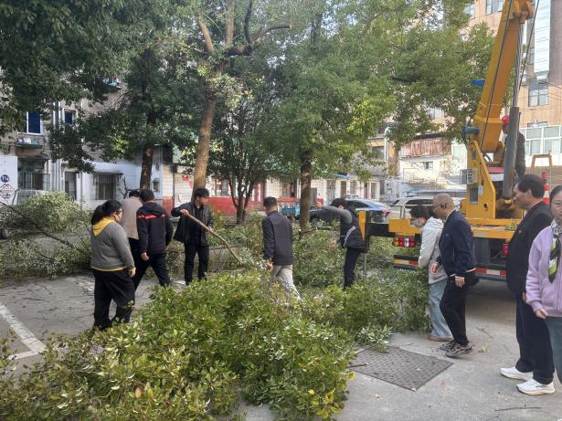 大发500-追求康健,你我一起生长