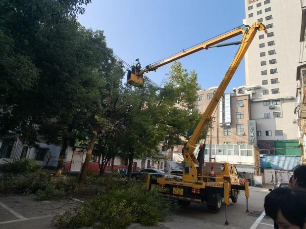 大发500-追求康健,你我一起生长