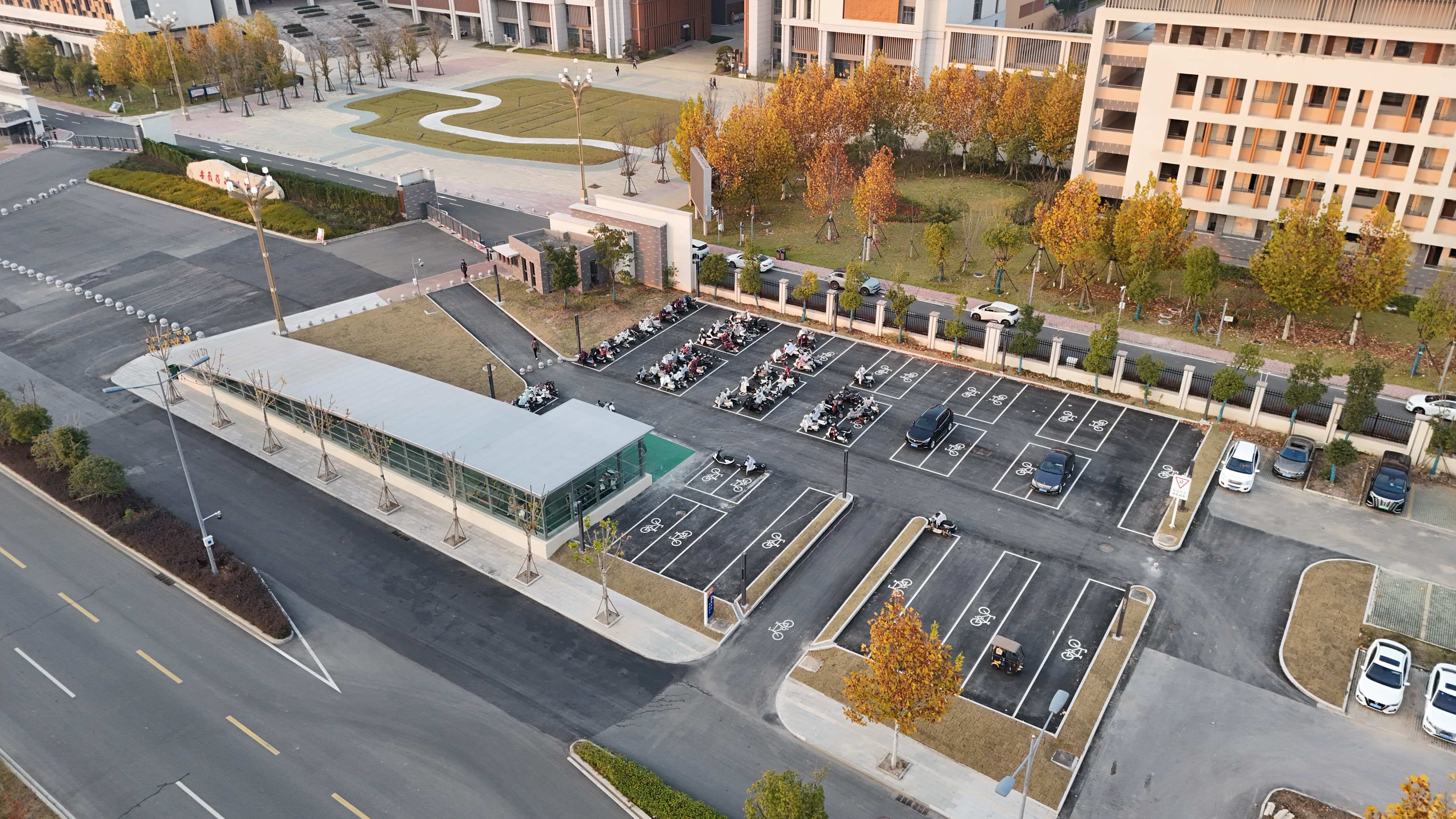 大发500-追求康健,你我一起生长